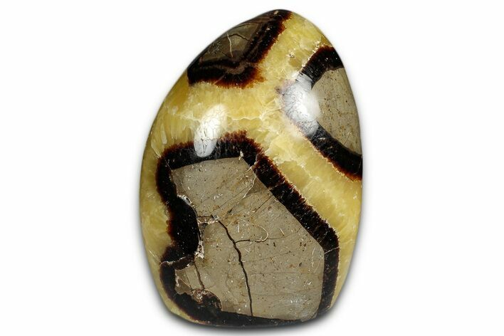 Free-Standing, Polished Septarian - Madagascar #349882